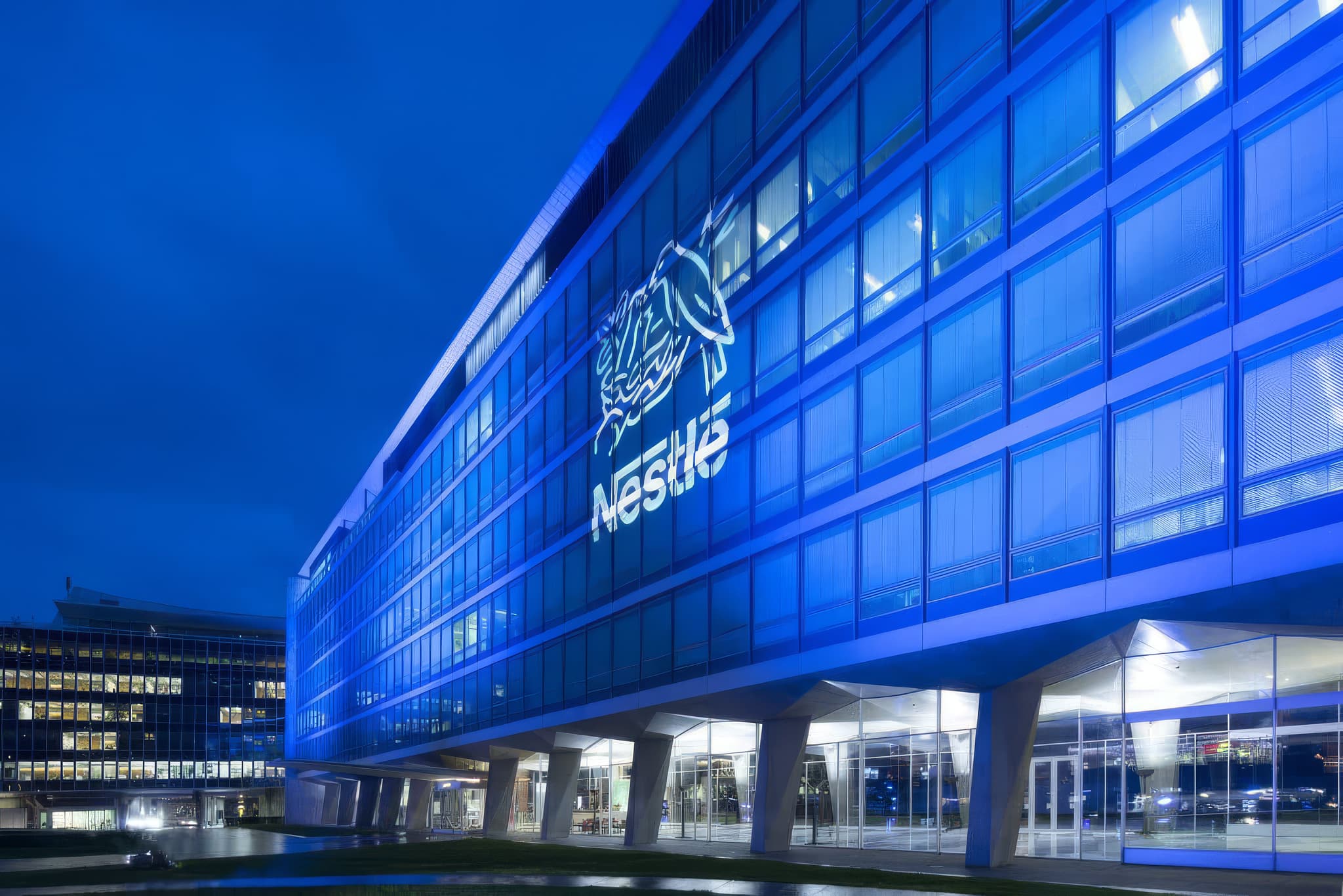 Nestlé Professional
